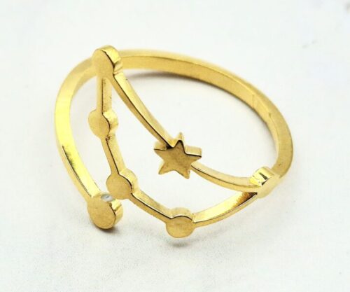 Mei’s Muse Starry Zodiac ring van roestvrij staal in goud en zilver