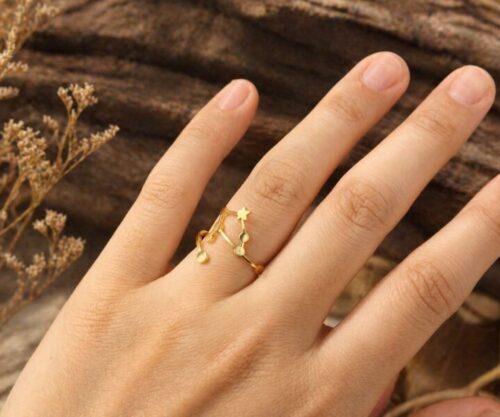 Alternative view of Mei's Muse Starry Zodiac | ring | Stainless Steel