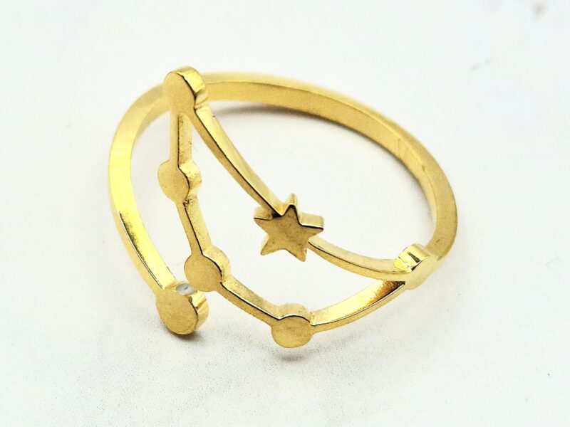 Starry Zodiac Mei's Muse Starry Zodiac | ring | Stainless Steel Mei’s Muse Starry Zodiac ring van roestvrij staal in goud en zilver