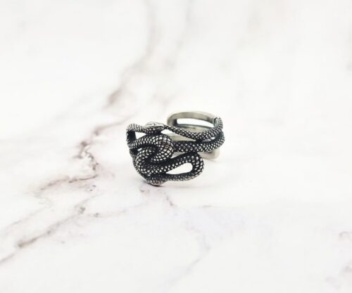 Twilight Serpents 3 Mei's Viking Twilight Serpents | ring | Stainless Steel Mei’s Viking Twilight Serpents ring van stainless steel