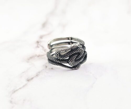 Twilight Serpents 4 Mei's Viking Twilight Serpents | ring | Stainless Steel Mei’s Viking Twilight Serpents ring van stainless steel