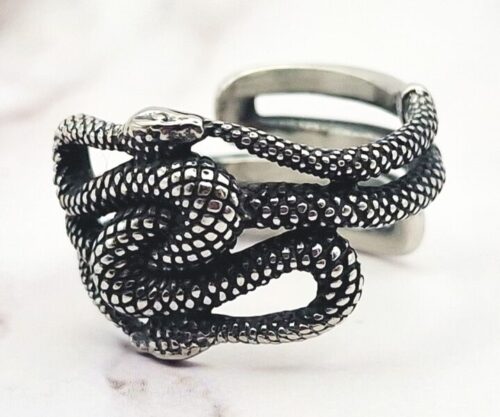 Mei’s Viking Twilight Serpents ring van roestvrij staal in zilver